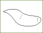 A tracing of the bird's body.